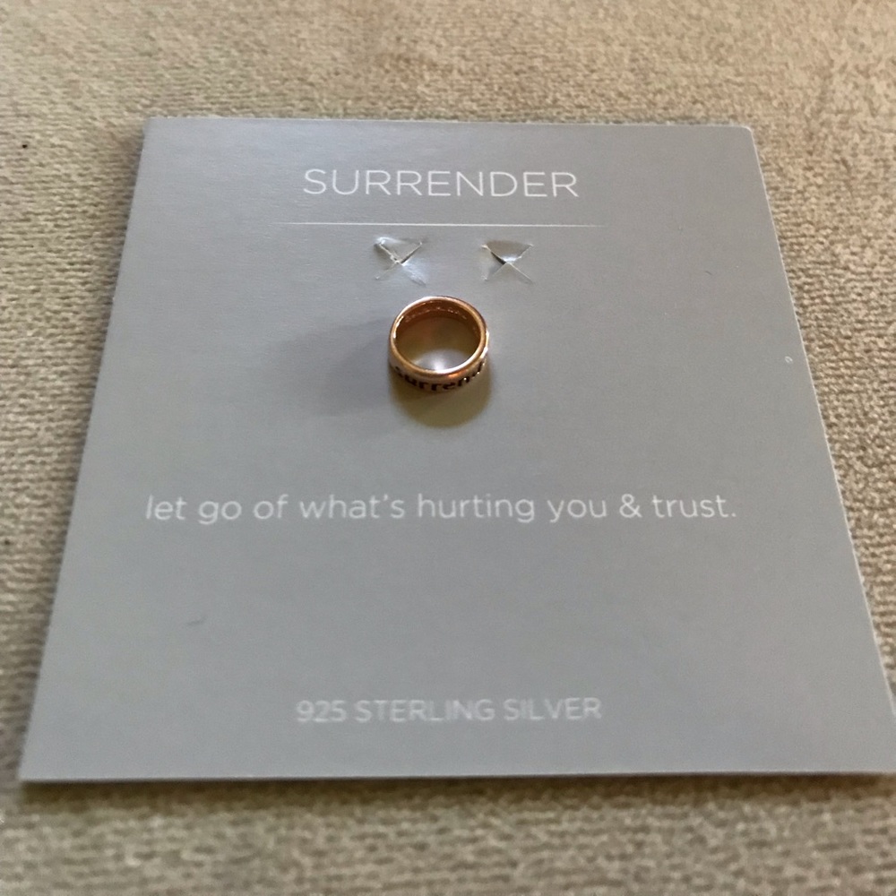 Origami owl charm